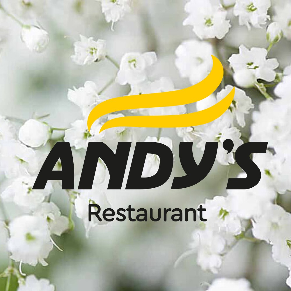 andys